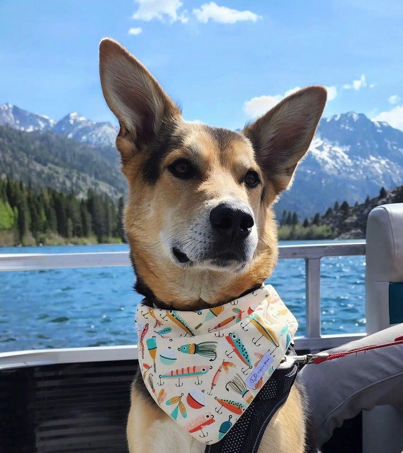 Puede incluir: Un perro de color canela y negro con orejas grandes y puntiagudas lleva un pa&ntilde;uelo color crema con un patr&oacute;n colorido de se&ntilde;uelos de pesca, anzuelos y boyas. El pa&ntilde;uelo tiene una peque&ntilde;a etiqueta blanca con el texto Stella Mae a la derecha.