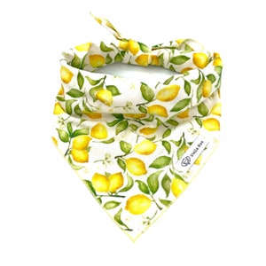 Lemon Blossoms Dog Bandana, Lemon Dog Bandana, Citrus Dog Bandana, Fruit Dog Bandana, Personalizable, Custom Dog Bandana, Dog Neckwear