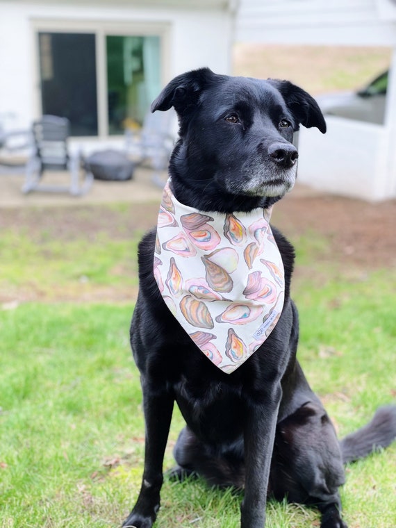 Nautical dog bandana deals