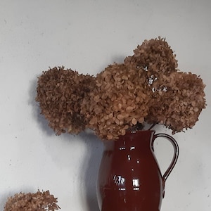 May include: A maroon ceramic pitcher with a handle holds dried brown hydrangeas. A small cluster of dried hydrangeas sits on a wooden surface in front of the pitcher. The background is a white wall.