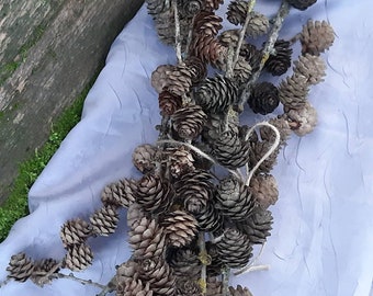 natural mini larch cones for craft woodland decors small larch pine cones with branches natural forest twigs florist crafts rustic wedding