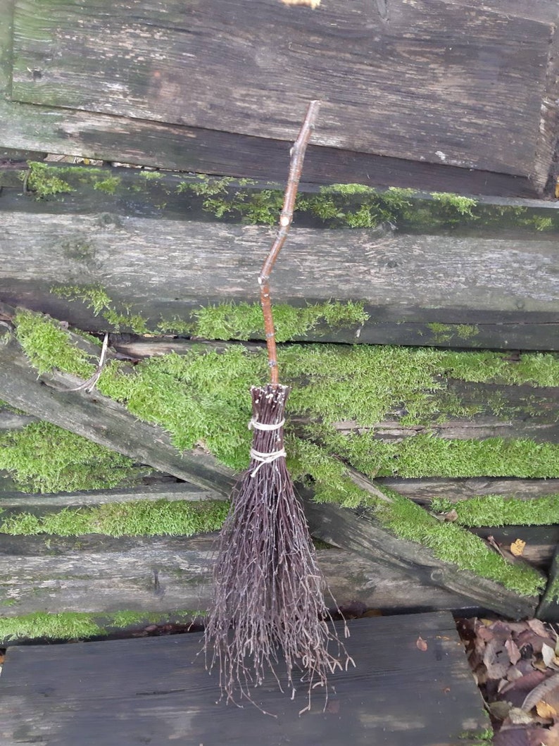Birch Broom Witches Broom Natural Birch Branches Birch Twigs - Etsy