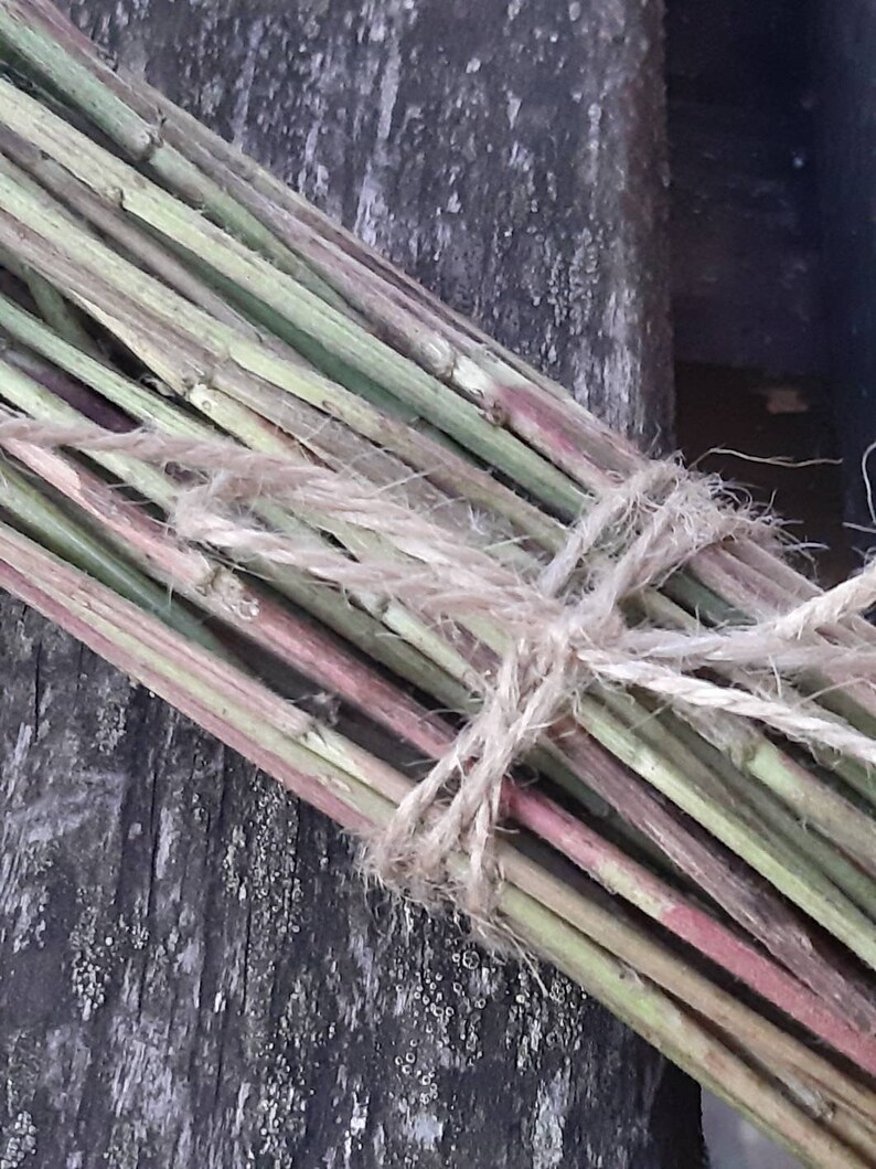 Dried yarrow stalks stems sticks divination natural harvested Etsy