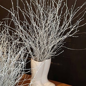  Decoración de ramas de abedul decorativas, tallos de abedul de  23 pulgadas para decoración de boda, ramitas secas para decoración de  Navidad (blanco) : Hogar y Cocina