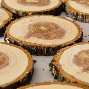 Wooden slices set of 16 plum tree slices wooden wall panel art Wood Slice Art Wood Slice With Bark Wooden Rustic Discs Woodworking Craft Log