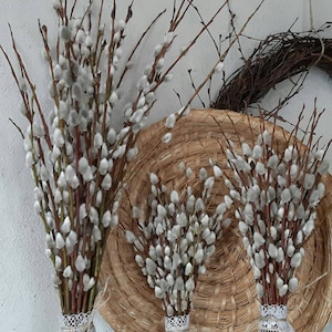 May include: Several bundles of pussy willow branches with soft, white catkins. The branches are tied with lace and twine. A woven basket and a wreath are in the background.