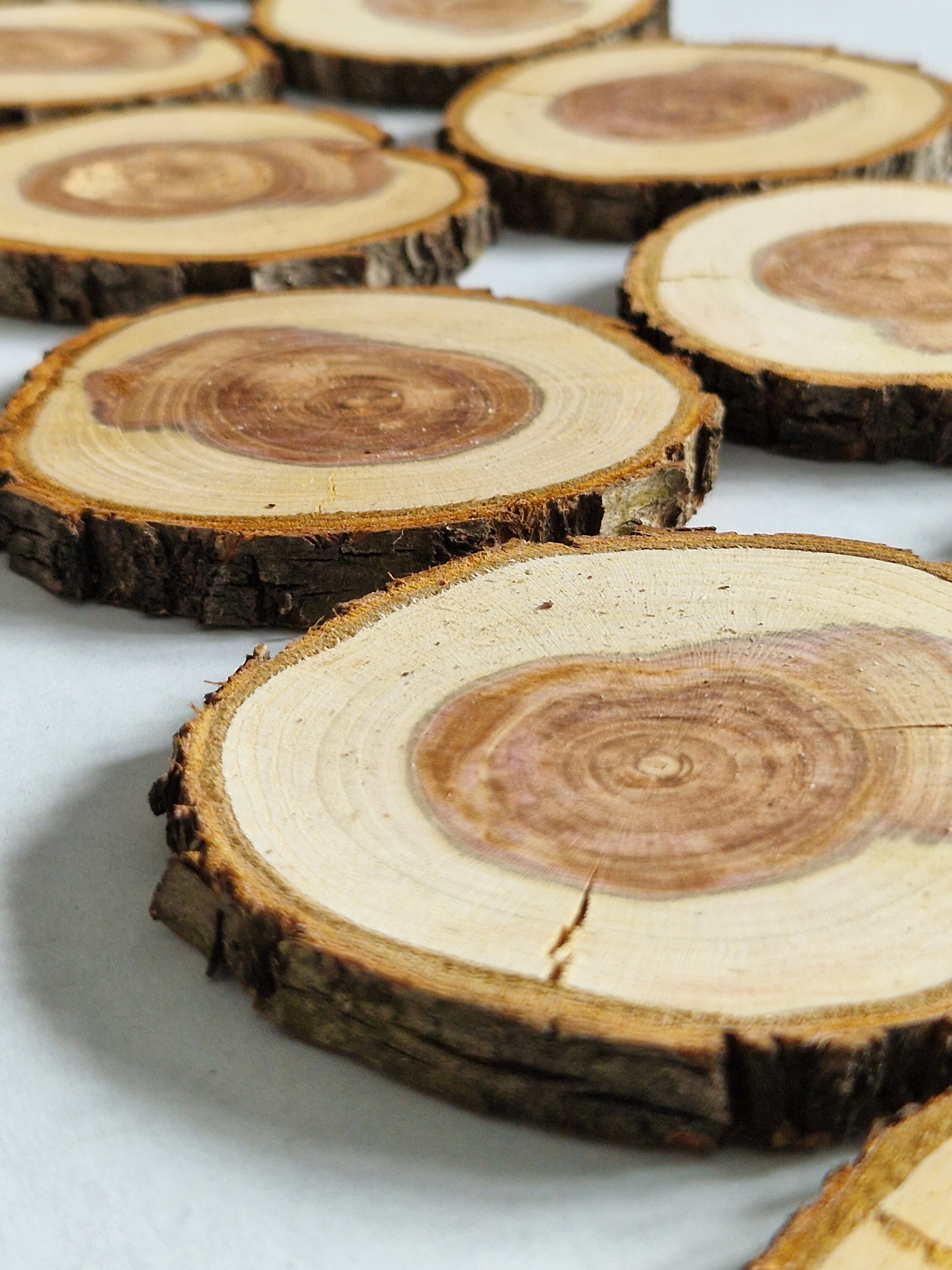 Rustic Log Slice Set of 10 Wooden Slices Plum Tree Slices Wooden Discs Raw Material for ...