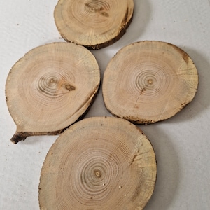 Wooden slices Set of 4 tree slices for art.