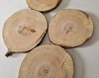 Wooden slices Set of 4 tree slices for art.