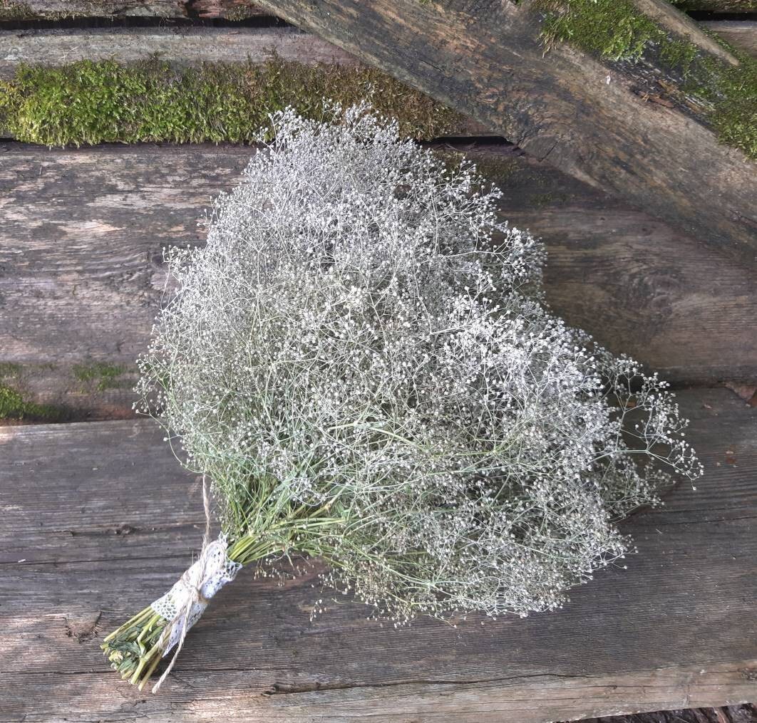 Details 143+ gypsy flowers for hair super hot POPPY