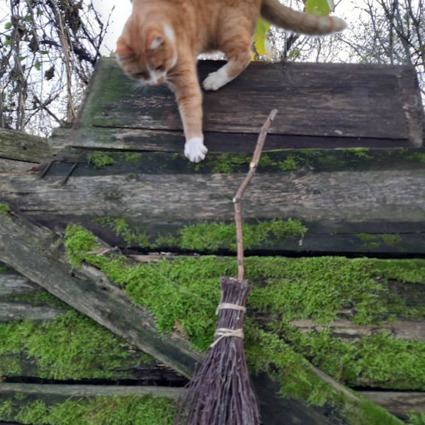 Birch broom witches broom natural birch branches birch twigs broom rustic home decor rustic wiccan besom magic altar cleansing pagan ritual