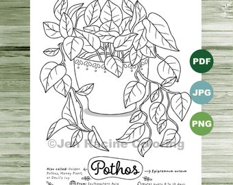 Plant Coloring Page Etsy