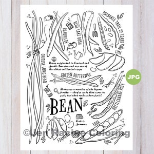 May include: A black and white line drawing of different types of beans, including Cherokee Trail of Tears, Blue Lake Bush, Golden Butterwax, and Edamame. The text "BEAN" is in large letters at the bottom of the image. The text "Peak is Summer" is in a smaller font below the word "BEAN".