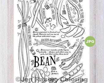 Bean Coloring Page, Vegetable Coloring Page, Garden, Gardening, Homegrown, Vegetable, Coloring Pages