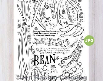 Bean Varieties Coloring Page, Garden Vegetable Art (PDF Download)