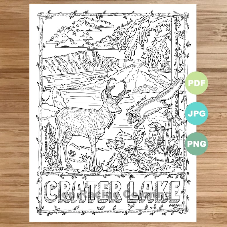 900 Wildflower Coloring Pages Pdf For Free
