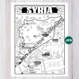 May include: Black and white line art map of Syria, featuring the Mediterranean Sea, Turkey, Iraq, and Jordan. Includes illustrations of the Aleppo Citadel, Umayyad Mosque, Syrian Brown Bear, and Jasmine flower. Text includes "Syria" and "Damascus, Capital City."