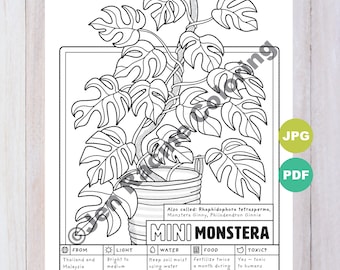 Kleurplaat minimonstera, kamerplantkunst (pdf en JPG)