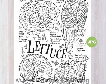 Lettuce Coloring Page, Vegetable Coloring Page, Garden, Gardening, Homegrown, Vegetable, Coloring Pages