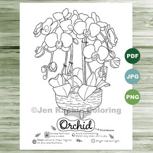Monstera Coloring Page Plants Indoor Plant Houseplant Art Etsy