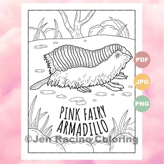 Pink Fairy Armadillo Uncommonly Cute Animal Coloring Page | Etsy