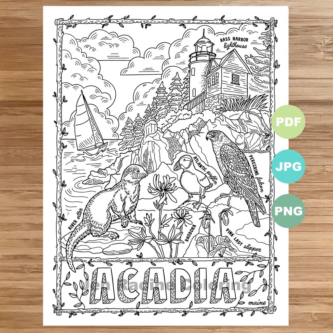 National Park Coloring Page Acadia Maine Animal Art Etsy