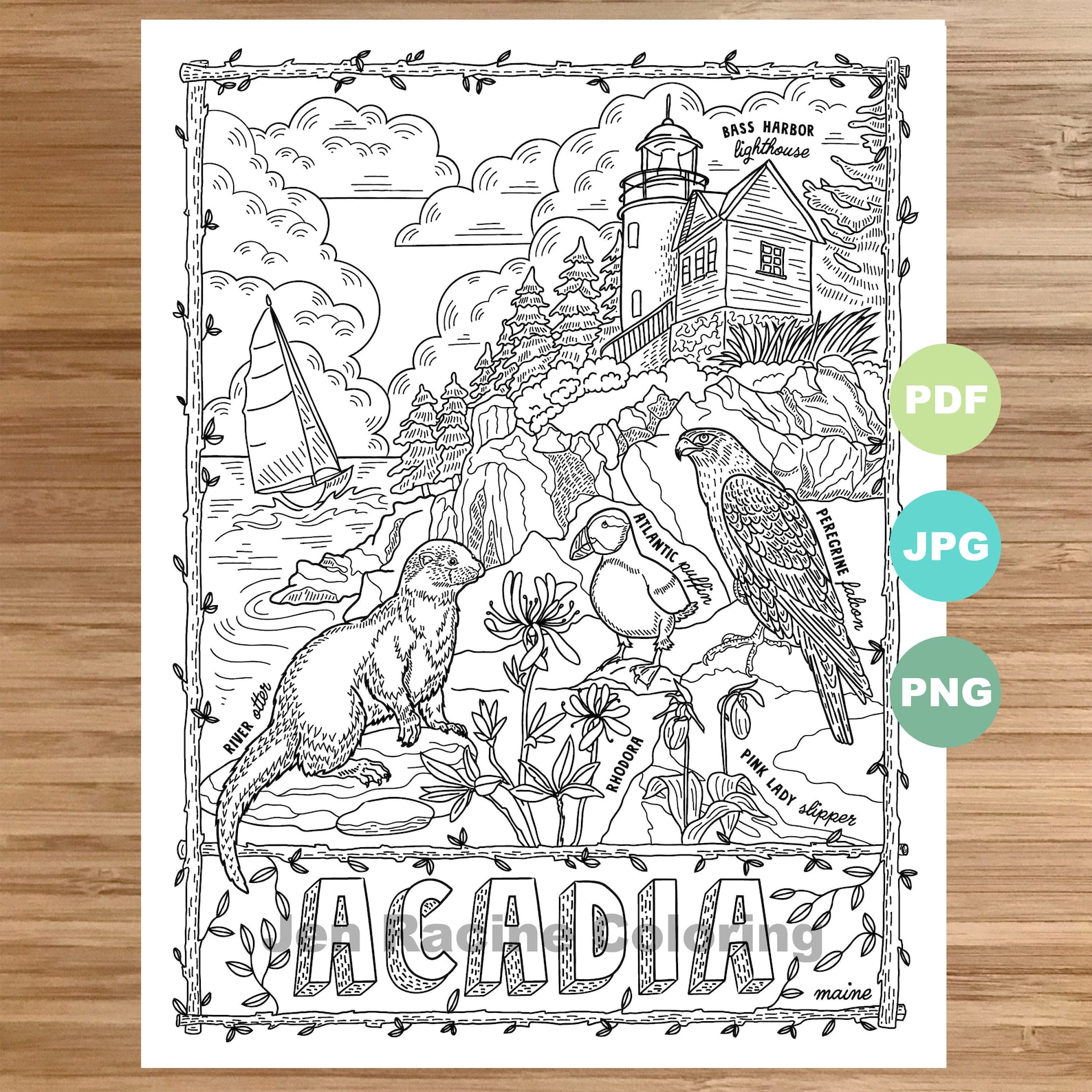National Park Coloring Page Acadia Maine Animal Art  Etsy