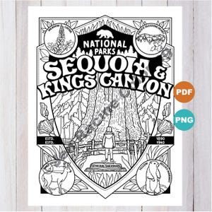 May include: Black and white illustration of Sequoia & Kings Canyon National Parks. The design includes the text "National Parks Sequoia & Kings Canyon", illustrations of a bear, flowers, and animals, and the text "General Sherman".
