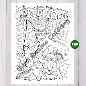 Redwood National Park Coloring Page