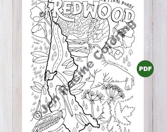 Redwood National Park Coloring Page