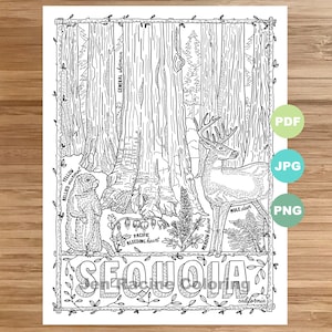 May include: A black and white line drawing illustration of a forest scene with a large sequoia tree, a mule deer, a yellow-bellied marmot, and various plants. The text "SEQUOIA california" is at the bottom of the image.