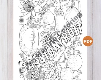 Passionfruit Varieties Coloring Page, Educational Fruit Art (PDF Digital Download)