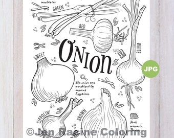 Onion Coloring Page, Vegetable Coloring Page, Garden, Gardening, Homegrown, Vegetable, Coloring Pages