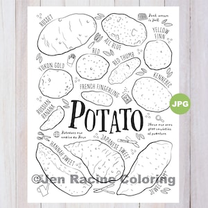Puede incluir: Un dibujo en blanco y negro de diferentes tipos de patatas con sus nombres. El texto "POTATO" está en letras grandes y negritas. El texto "Las patatas son originarias de Perú" también está incluido. El texto "Hay más de 1000 variedades de patatas" también está incluido.