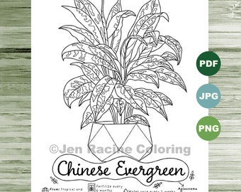 Chinese Evergreen Coloring Page, Plants, Indoor Plant, Houseplant Art, Adult Coloring Page, Coloring Pages