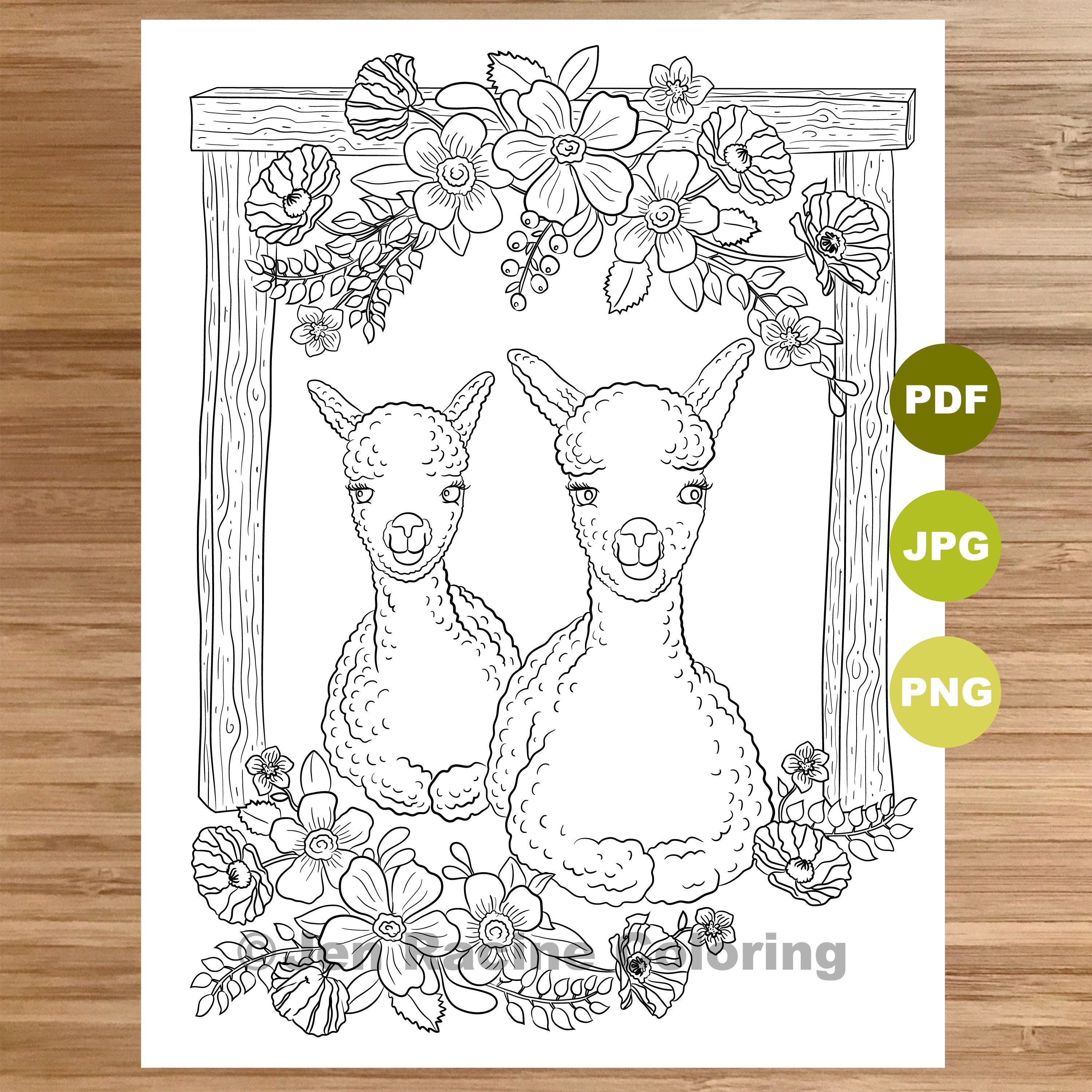 Sweet Sitting Llamas Coloring Page, Llama art, Coloring book printable,  Coloring pages for adults, Coloring pages for kids