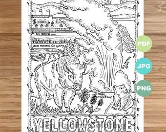 National Park Coloring Page, Yellowstone, Wyoming, National Park, Landscape, Animal, Plant, Wildflower, Coloring page, Printable