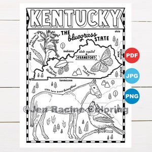 Pagina da colorare del Kentucky, Stati Uniti, mappa dello stato, fauna selvatica, simboli dello stato, fiori, pagine da colorare