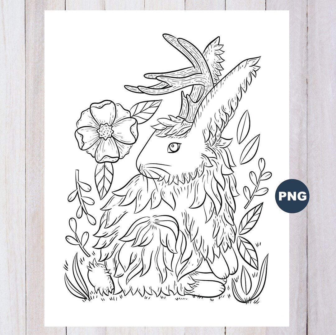 Jackalope Coloring Page, Magical Animal, Angora Rabbit, Coloring Page ...