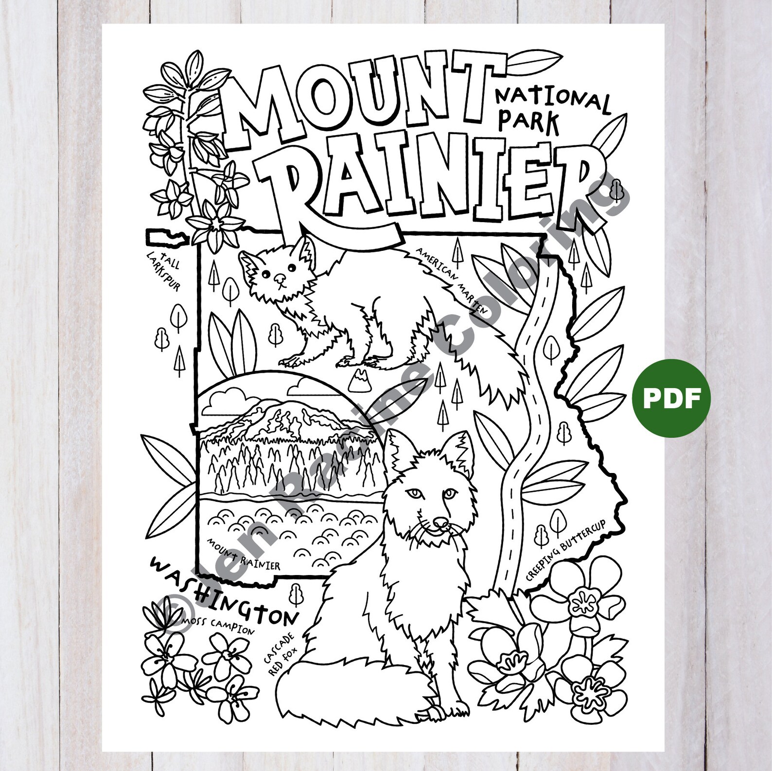 Coluring In Rainer's Mount Rainier National Park Coloring Page - Etsy