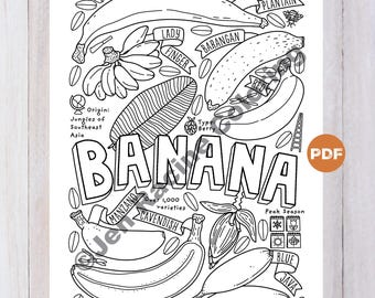 バナナの品種の塗り絵、教育用フルーツアート（PDFデジタルダウンロード）