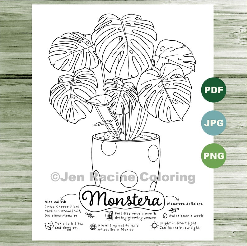 Monstera Coloring Page Plants Indoor Plant Houseplant Art | Etsy