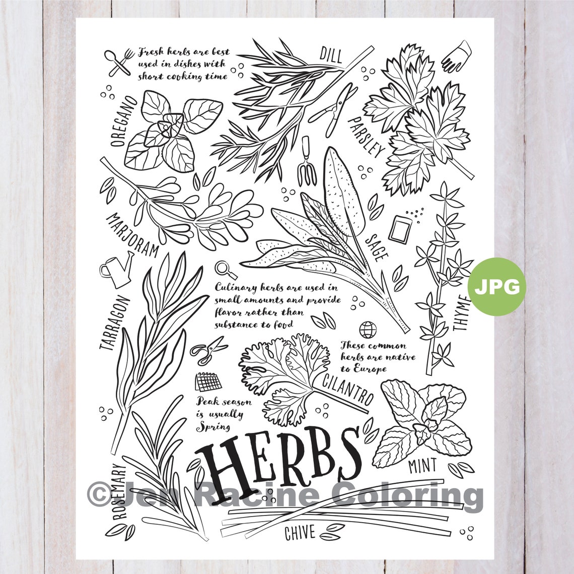 Kräuter Malseite, Ausmalseite, Ausmalseite, Garten, Garten
