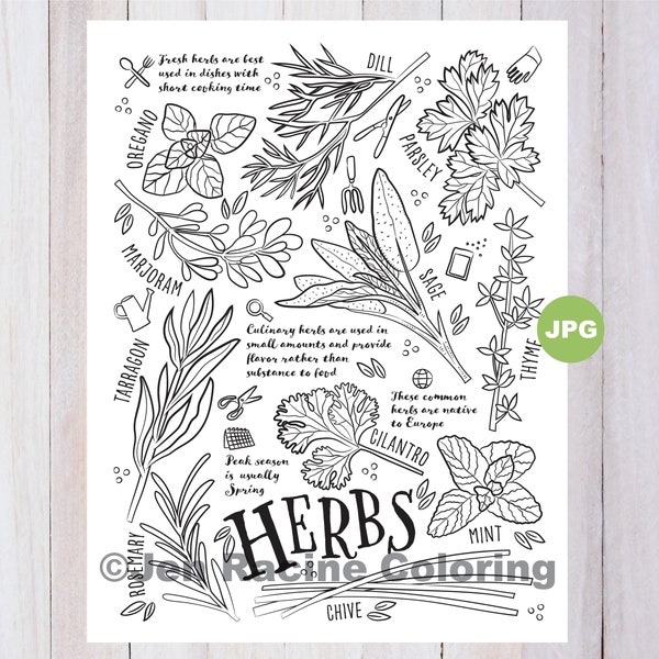 Herbs Coloring Page, Vegetable Coloring Page, Garden, Gardening, Homegrown, Vegetable, Coloring Pages