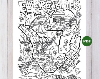 Everglades & Biscayne National Park Coloring Page