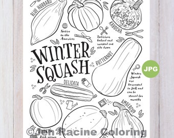 Squash Coloring Page, Winter Squash, Vegetable Coloring Page, Garden, Gardening, Homegrown, Vegetable, Coloring Pages