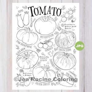 Página para colorear de tomates, página para colorear de vegetales, jardín, jardinería, cosecha propia, vegetales, páginas para colorear