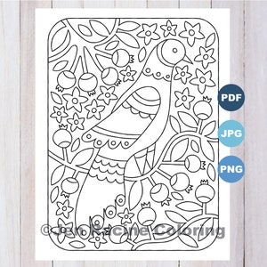 Bird on a branch, Scandinavian Inspired Coloring Page