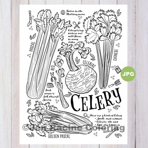Celery Coloring Page, Vegetable Coloring Page, Garden, Gardening, Homegrown, Vegetable, Coloring Pages