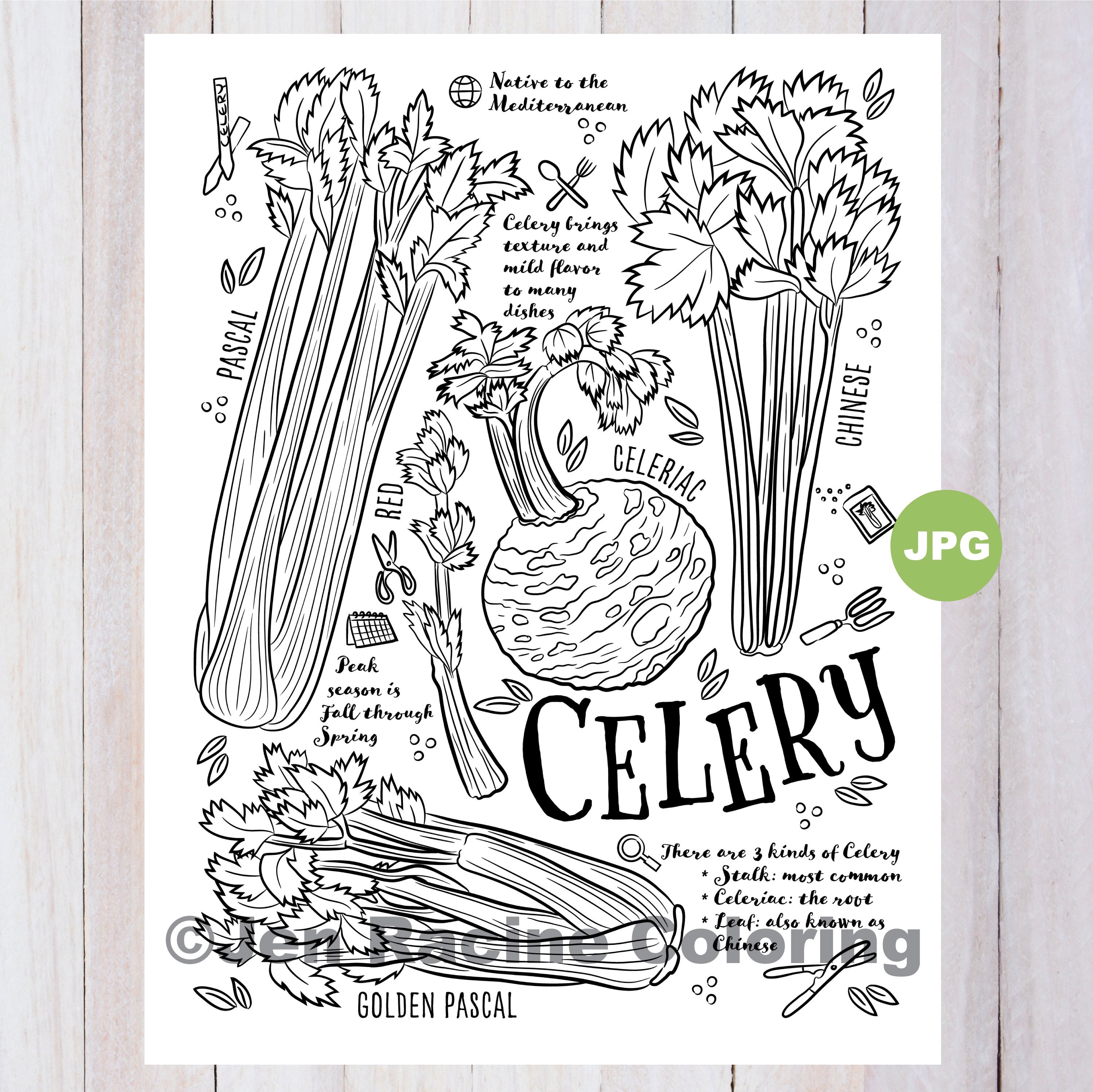 Celery Coloring Page Vegetable Coloring Page Garden Etsy Canada